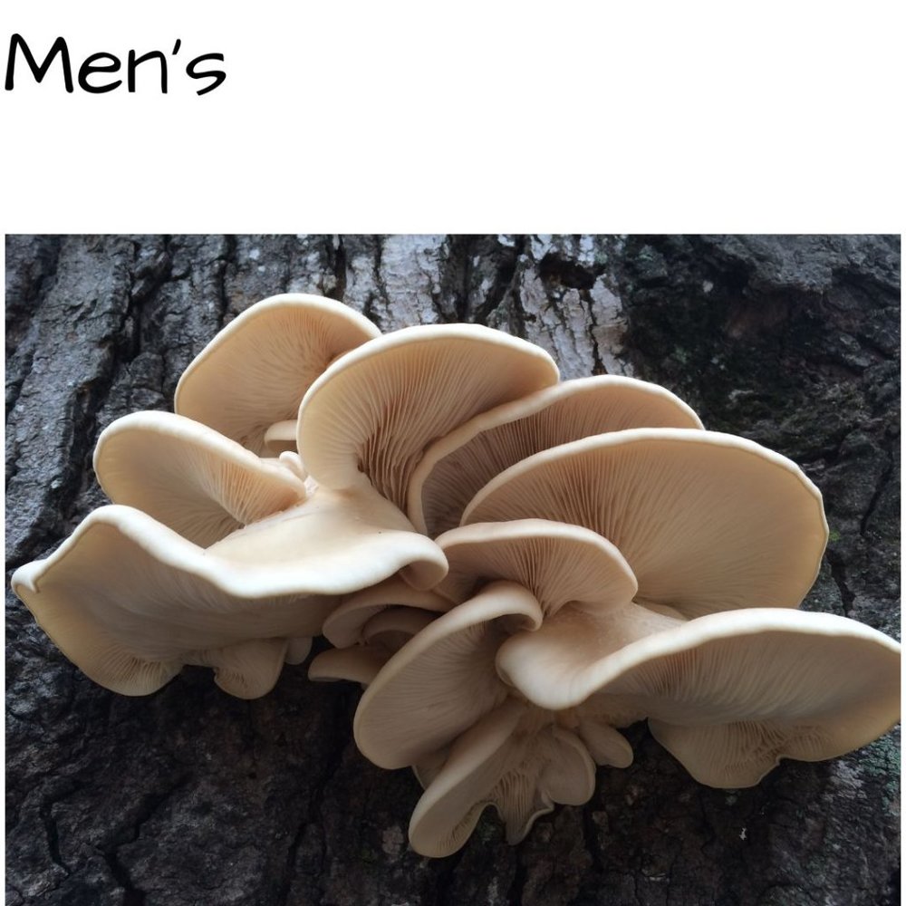 🍄 𝙈𝙚𝙣'𝙨 𝘾𝙡𝙤𝙩𝙝𝙞𝙣𝙜